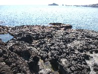pomulini-20110311 235
